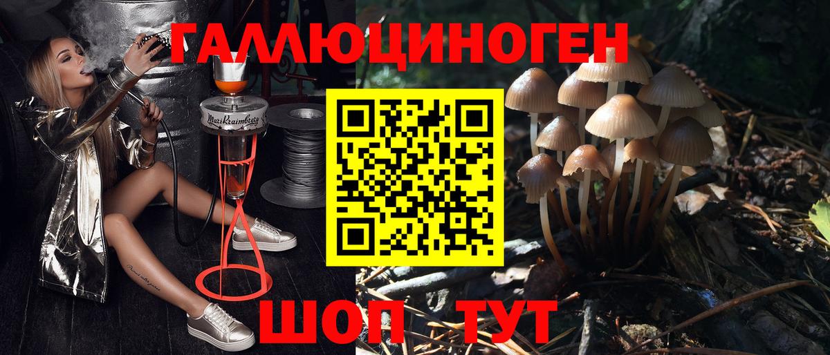 Галлюциногенные грибы ЛСД  Вход с VPN  Кореновск 