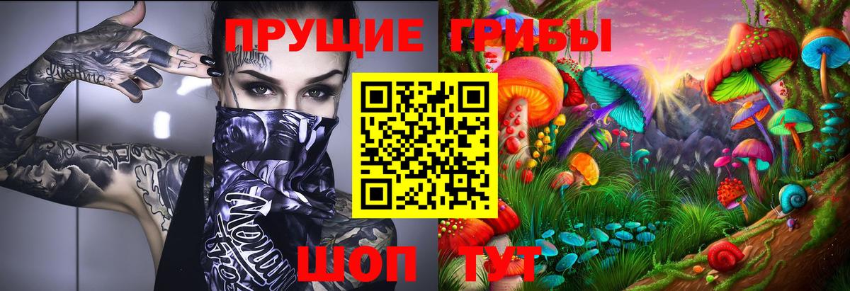 Псилоцибиновые грибы Psilocybe Кореновск
